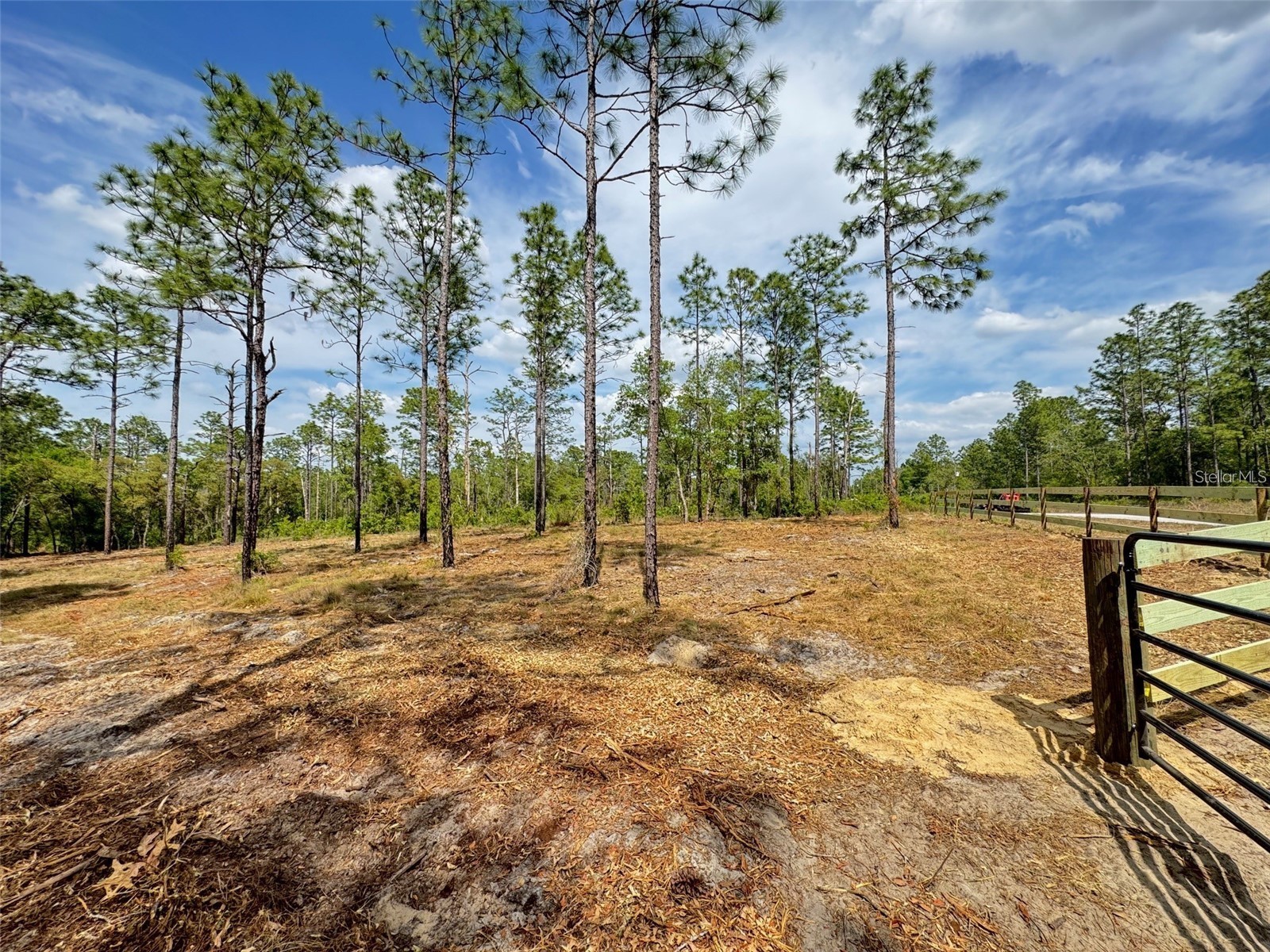 SW Edgewater Boulevard Dunnellon FL 34431 G5113955 image7