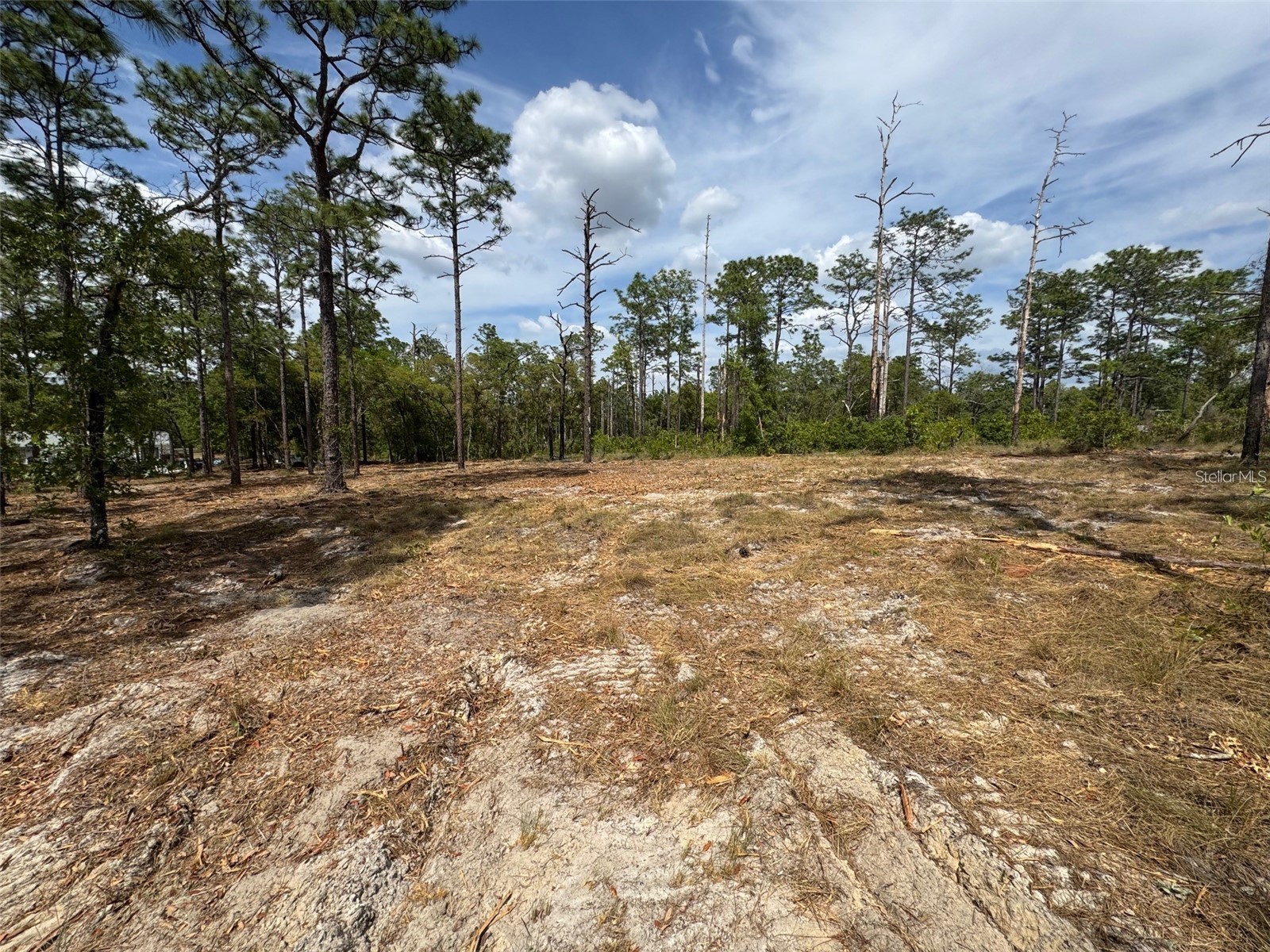 SW Edgewater Boulevard Dunnellon FL 34431 G5113955 image8