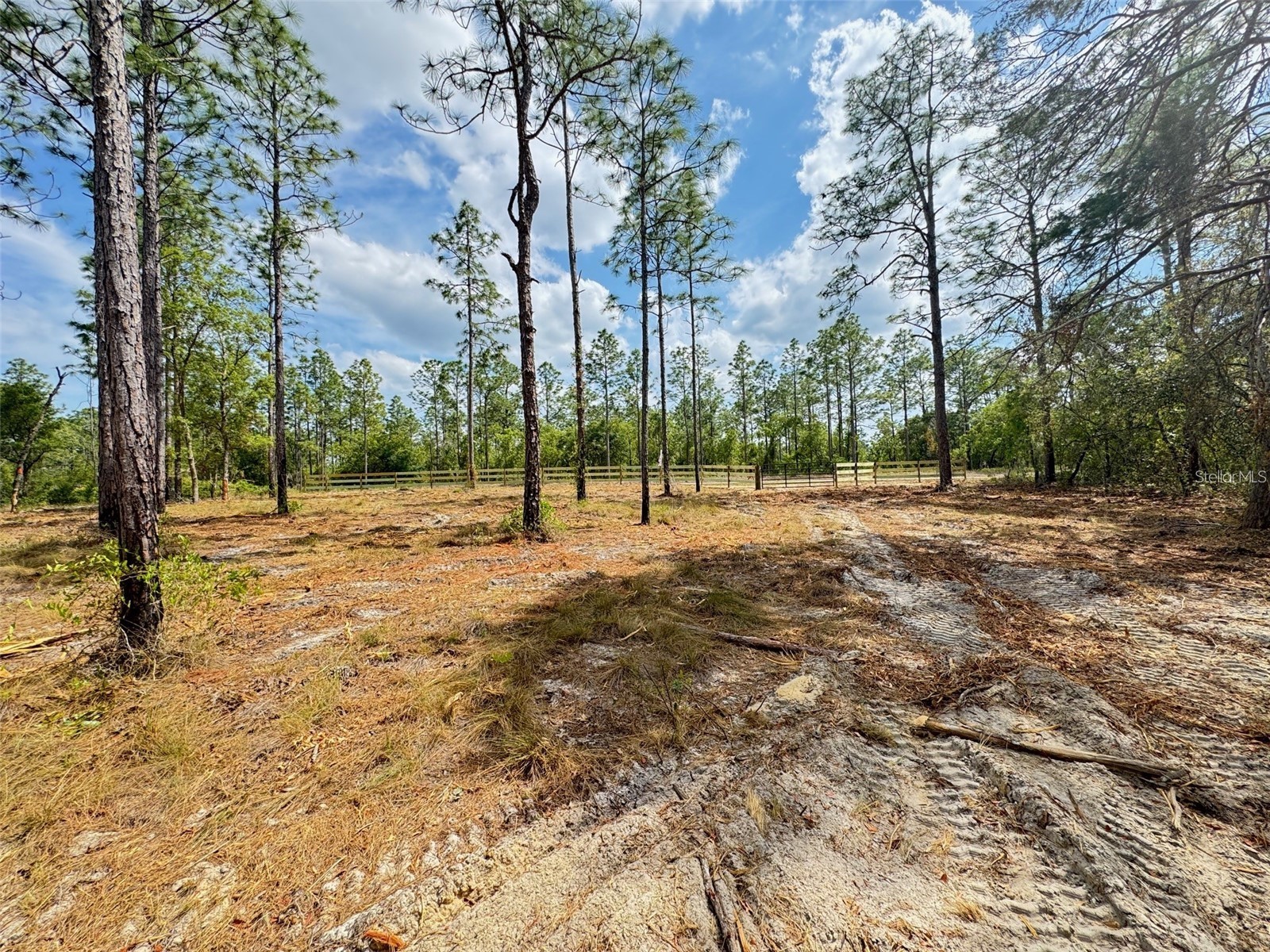 SW Edgewater Boulevard Dunnellon FL 34431 G5113955 image9