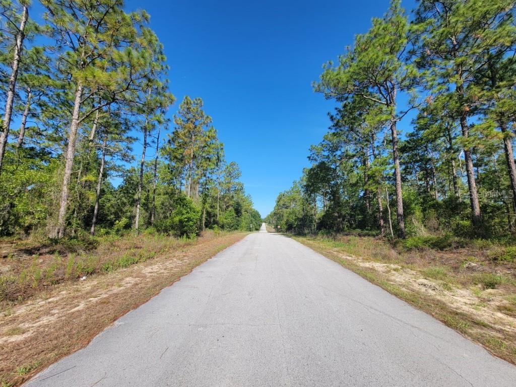 SW Edgewater Dunnellon FL 34431 OM703539 image10