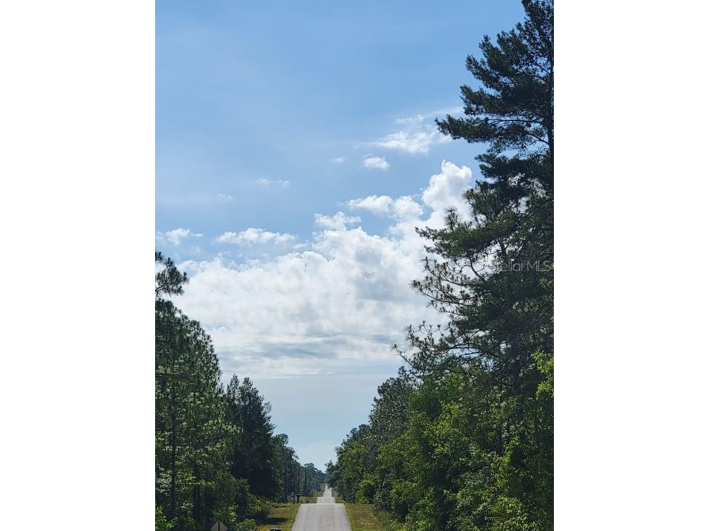 SW Edgewater Dunnellon FL 34431 OM703539 image11