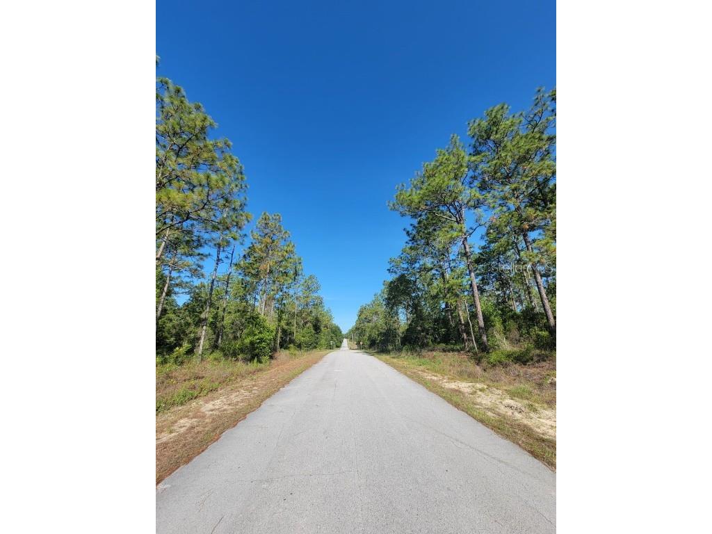 SW Edgewater Dunnellon FL 34431 OM703539 image12