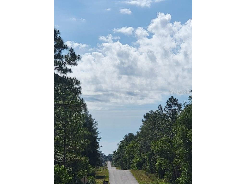 SW Edgewater Dunnellon FL 34431 OM703539 image13