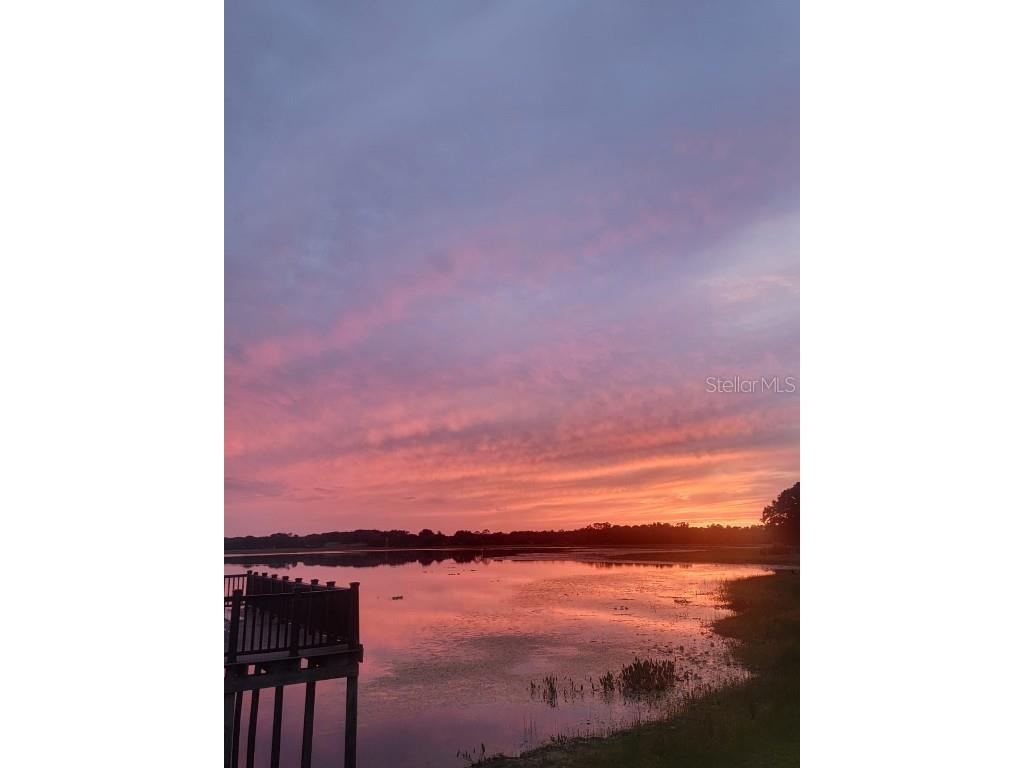 SW Edgewater Dunnellon FL 34431 OM703539 image14