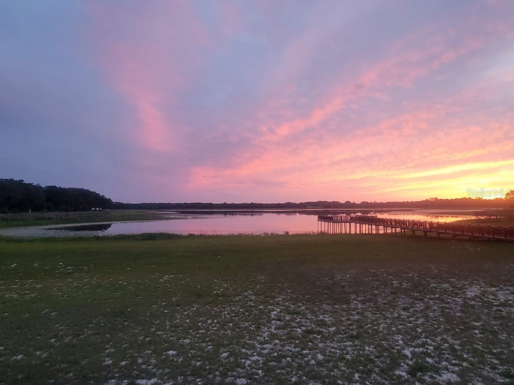 SW Edgewater Dunnellon FL 34431 OM703539 image15