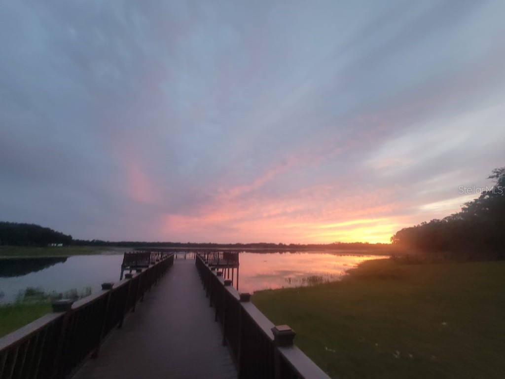 SW Edgewater Dunnellon FL 34431 OM703539 image17