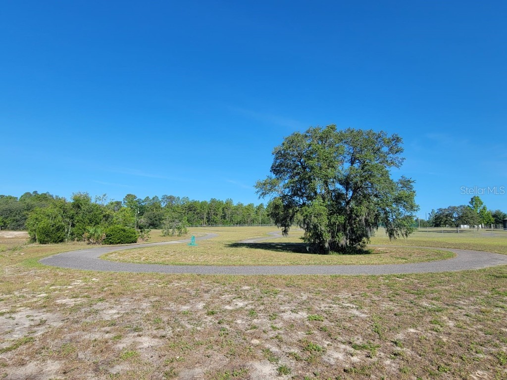 SW Edgewater Dunnellon FL 34431 OM703539 image23