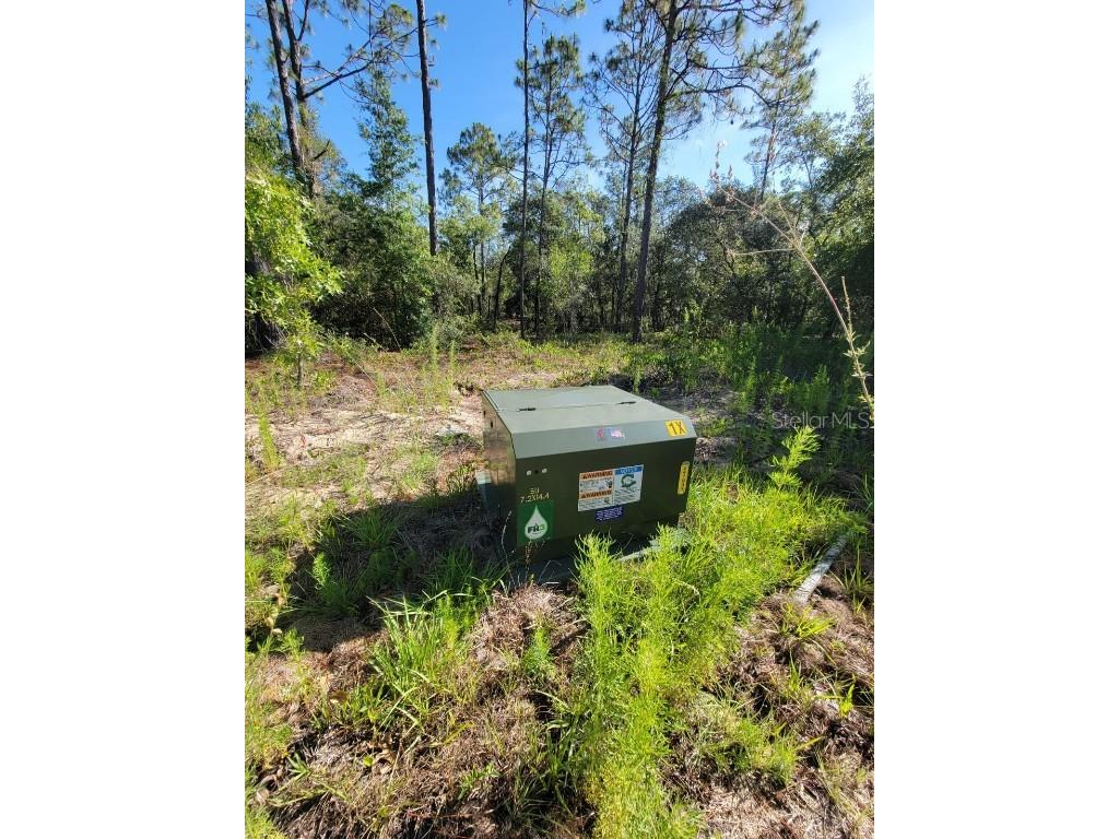 SW Edgewater Dunnellon FL 34431 OM703539 image24