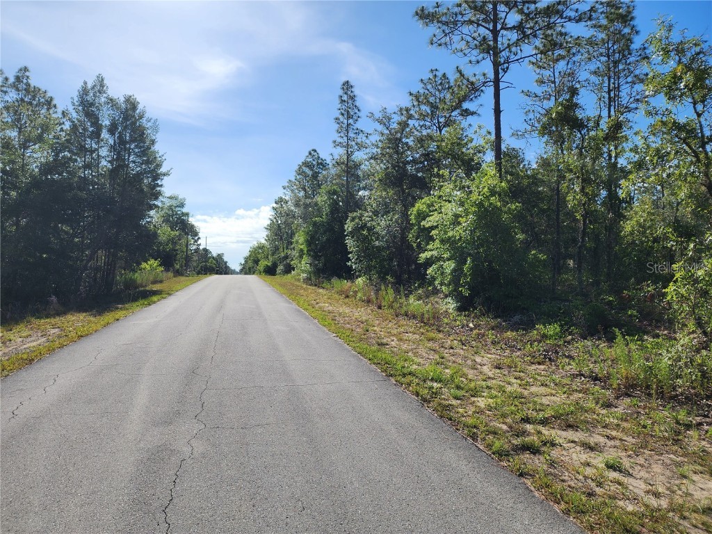 SW Edgewater Dunnellon FL 34431 OM703539 image6
