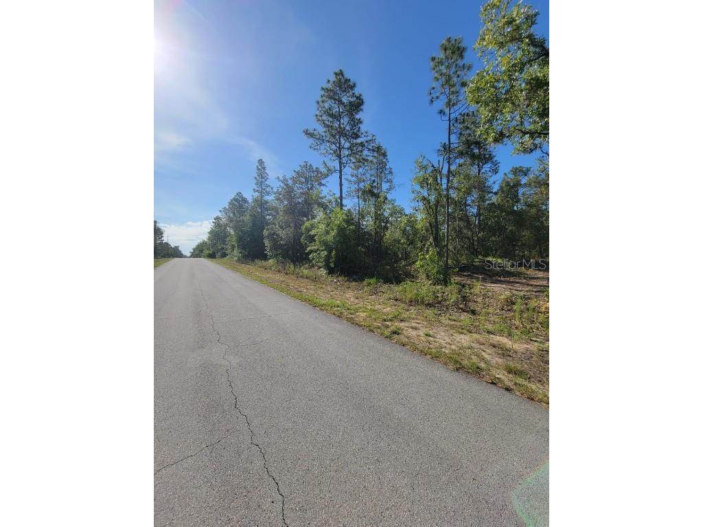 SW Edgewater Dunnellon FL 34431 OM703539 image7