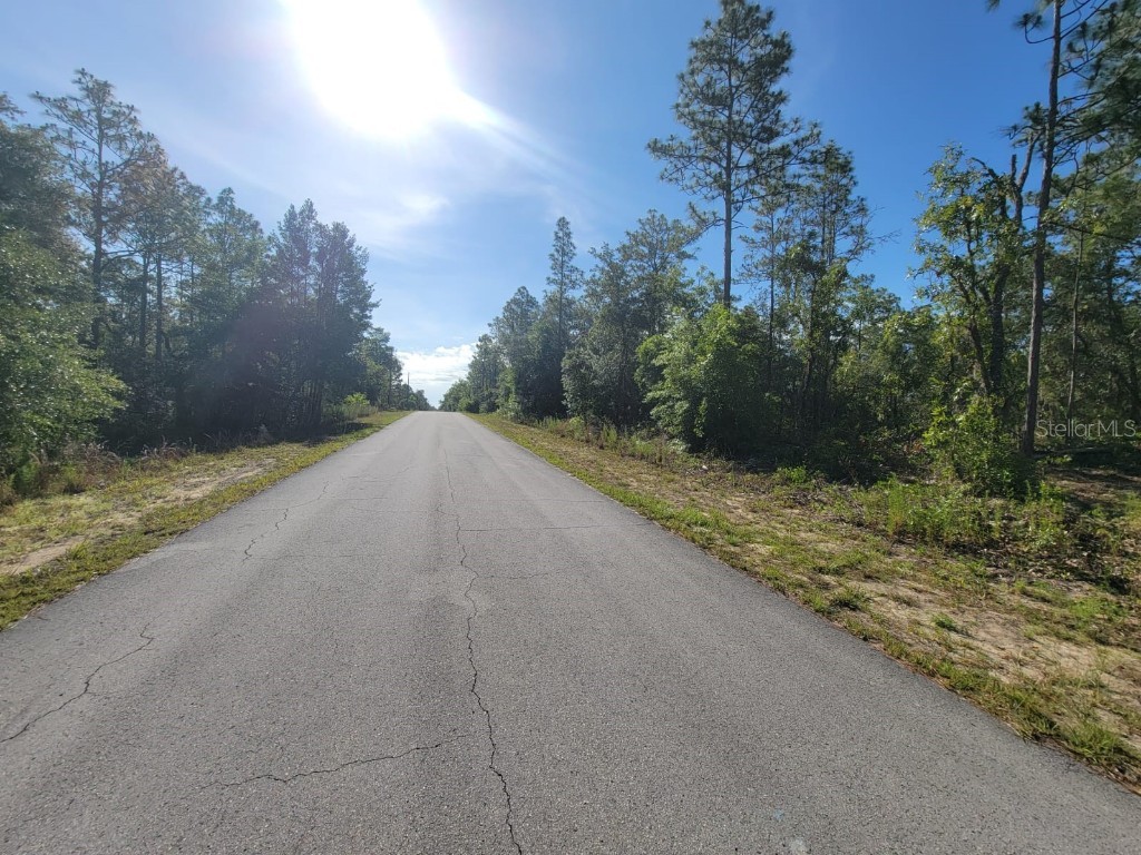 SW Edgewater Dunnellon FL 34431 OM703539 image8