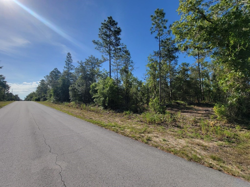 SW Edgewater Dunnellon FL 34431 OM703539 image9