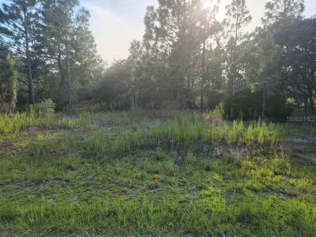 SW Evergreen Court Dunnellon FL 34431 O6132245 image1