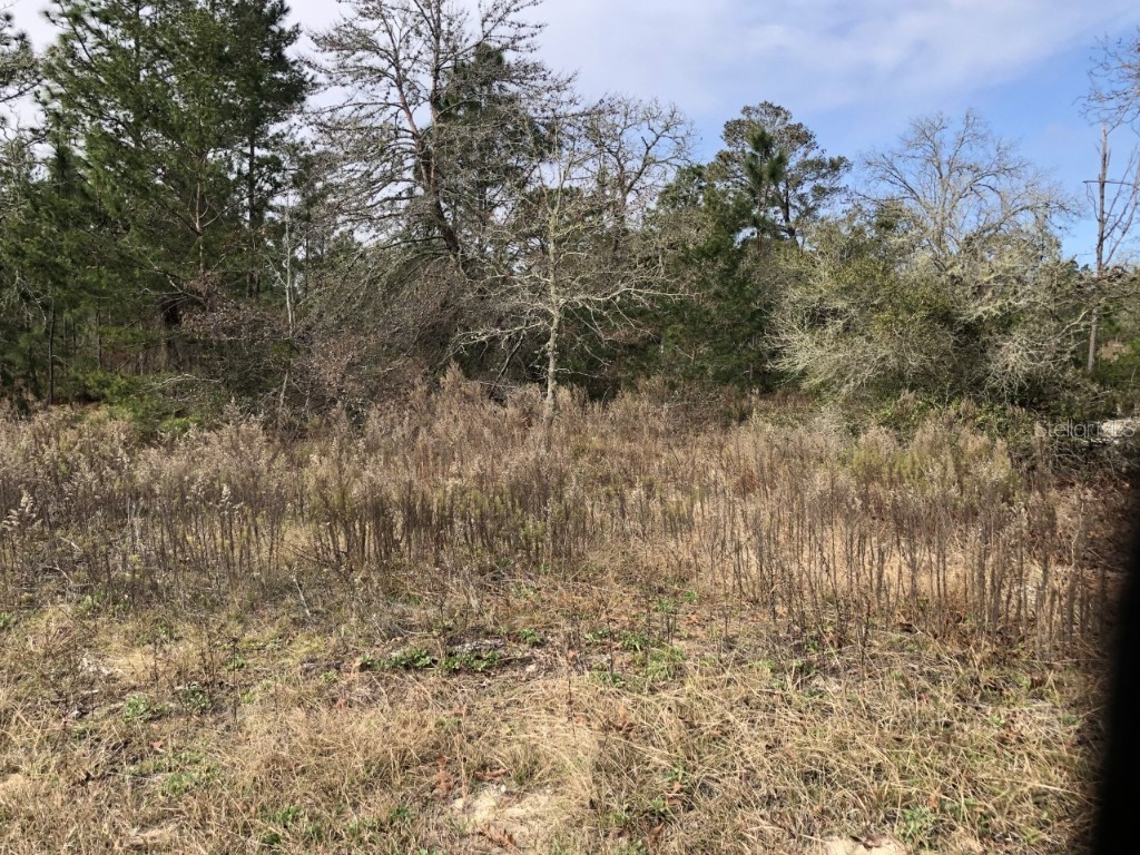 SW Evergreen Court Dunnellon FL 34431 OM634289 image1