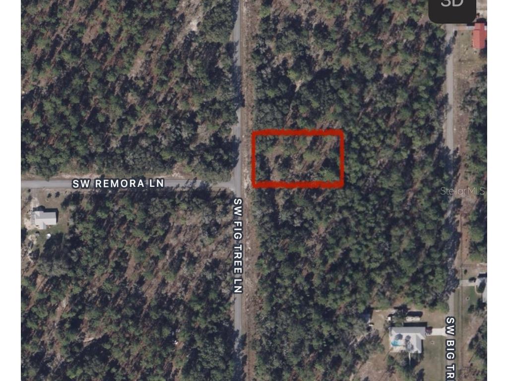 SW Fig Tree Lane Dunnellon FL 34431 OM668224 image1