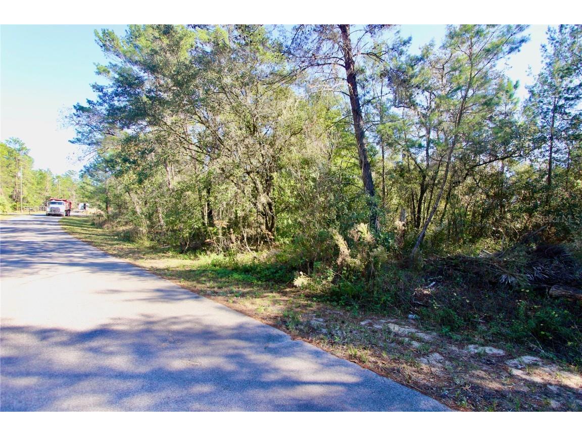 SW Fisher Course Ocklawaha FL 32179 O6147932 image1