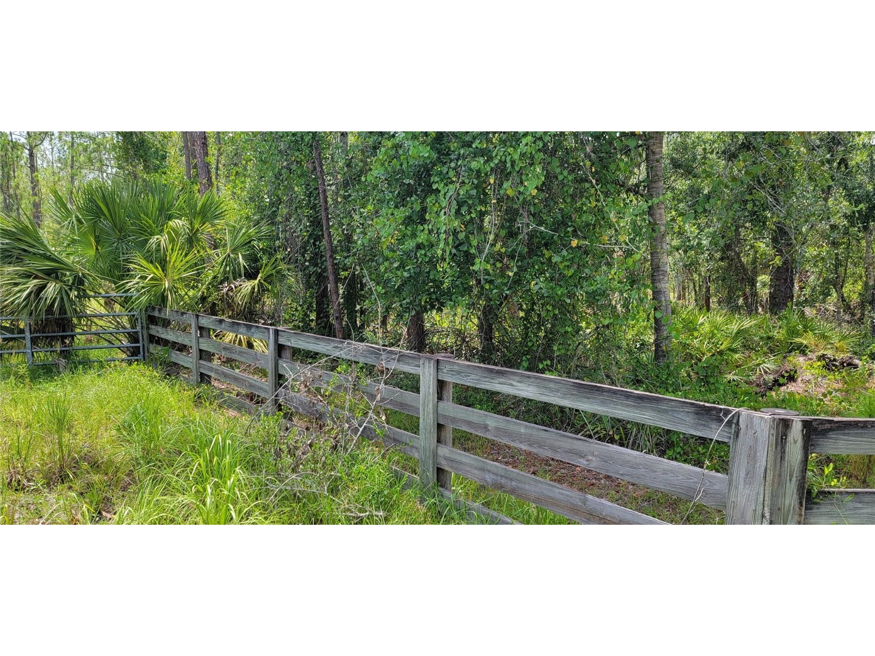 SW Florida Road Arcadia FL 34266 C7477997 image1