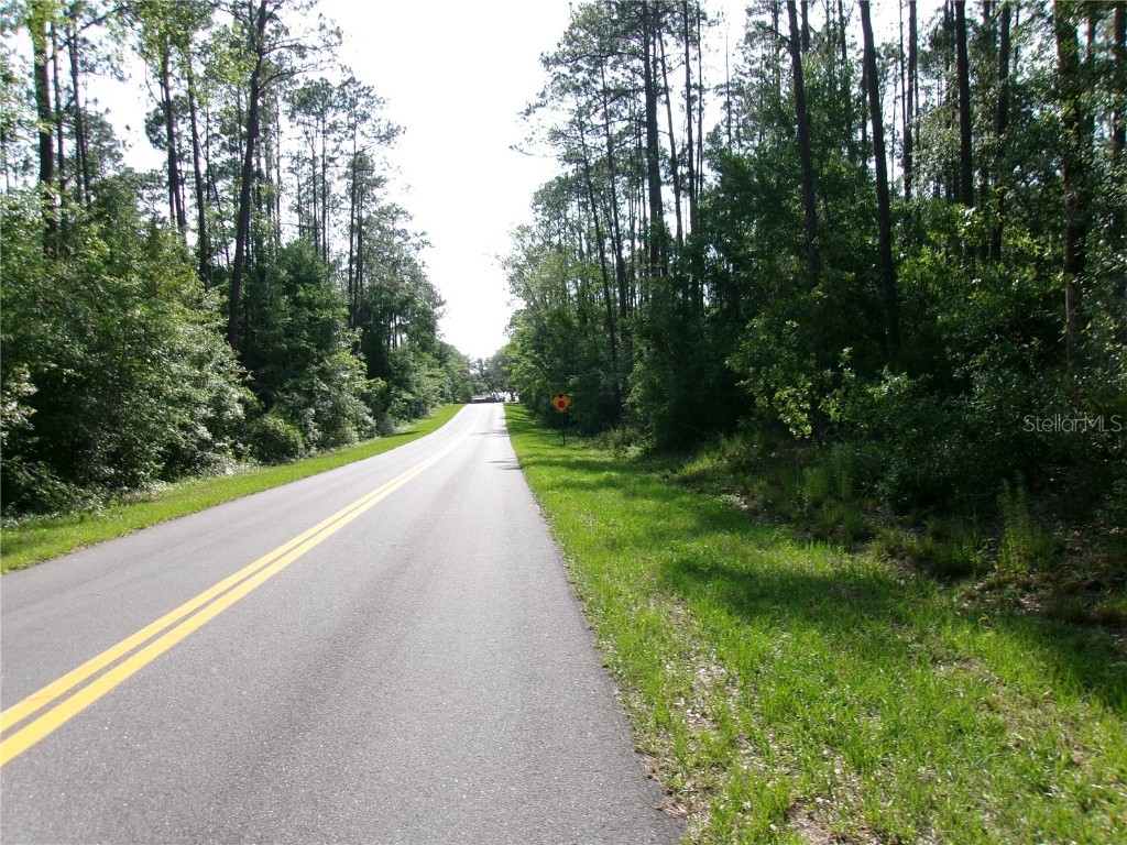 SW Freshwater Court Dunnellon FL 34431 OM680514 image1