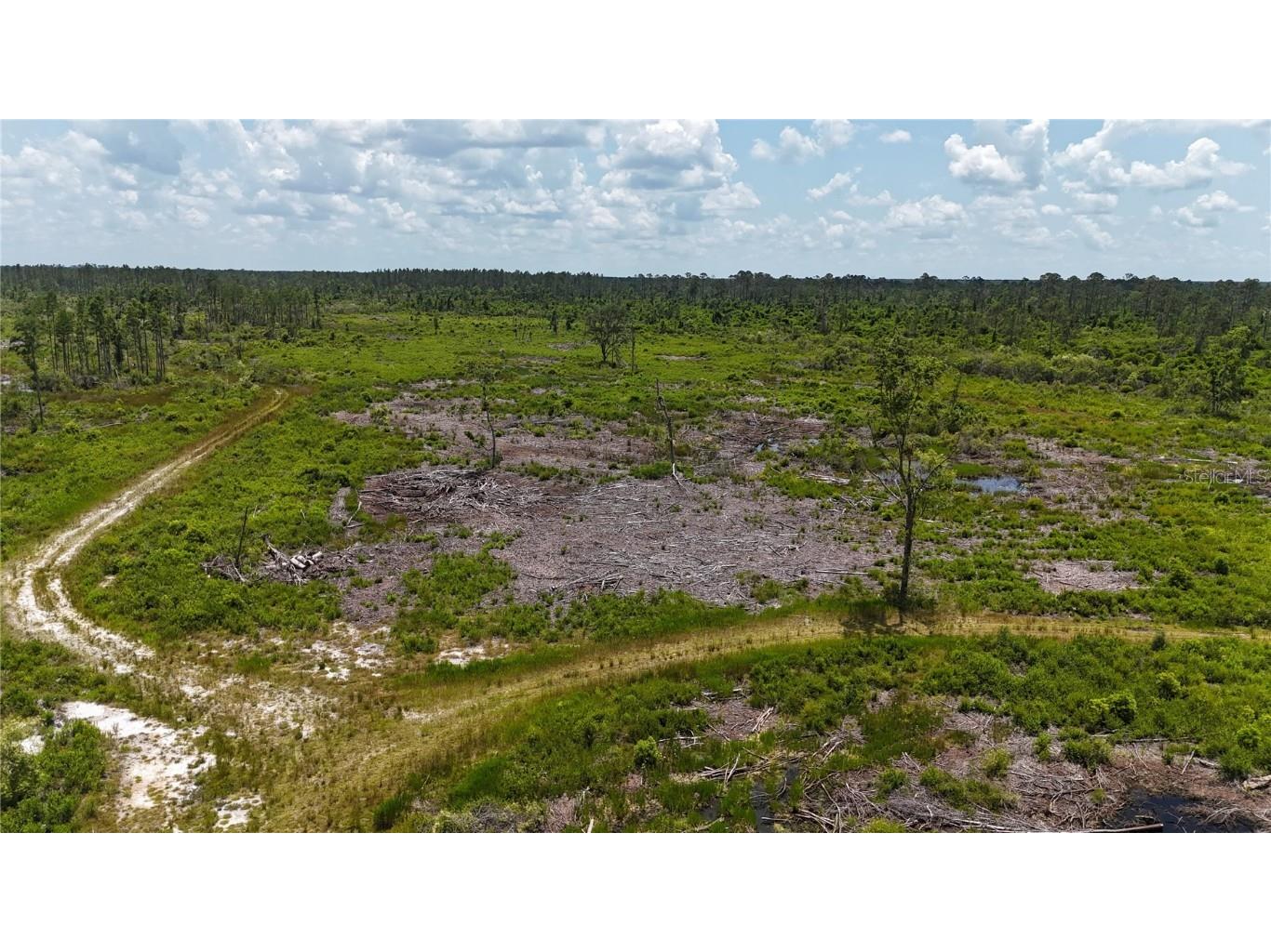 SW Gary L Thomas Road Mayo FL 32066 OM680060 image1