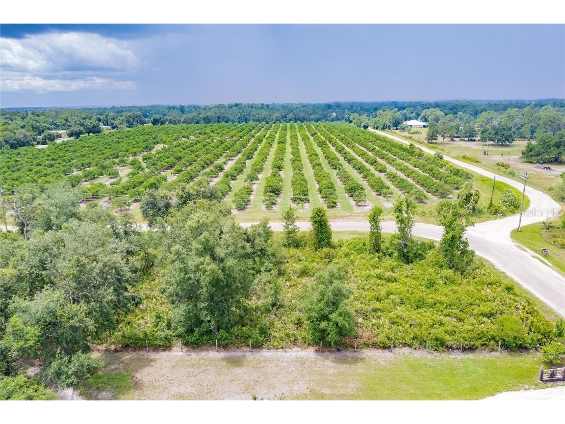 SW Gator Trail Arcadia FL 34266 C7512931 image4