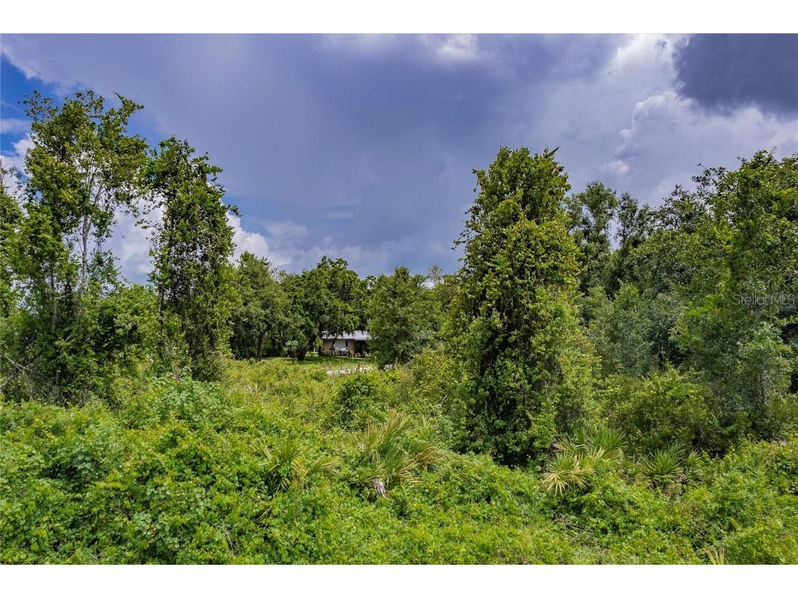 SW Gator Trail Arcadia FL 34266 C7512931 image8