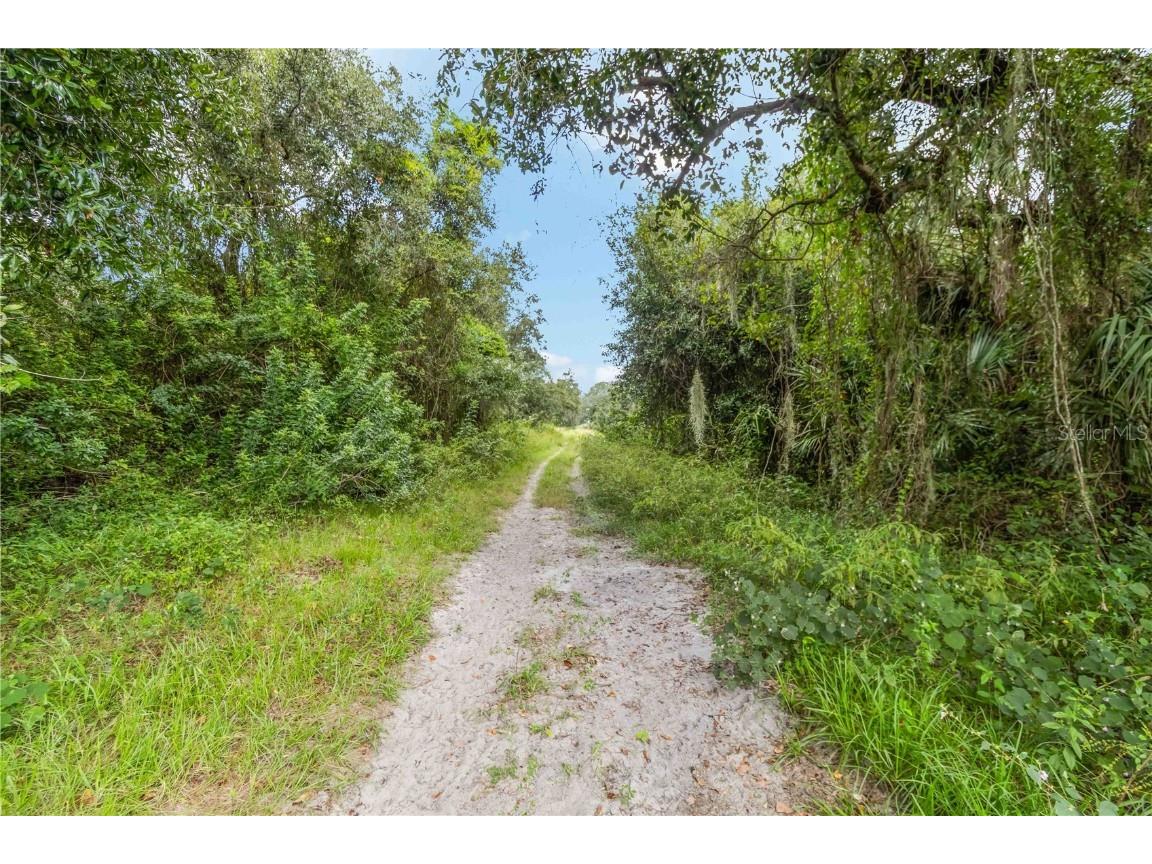 SW Gordon Hay Road Arcadia FL 34269 N6140996 image10