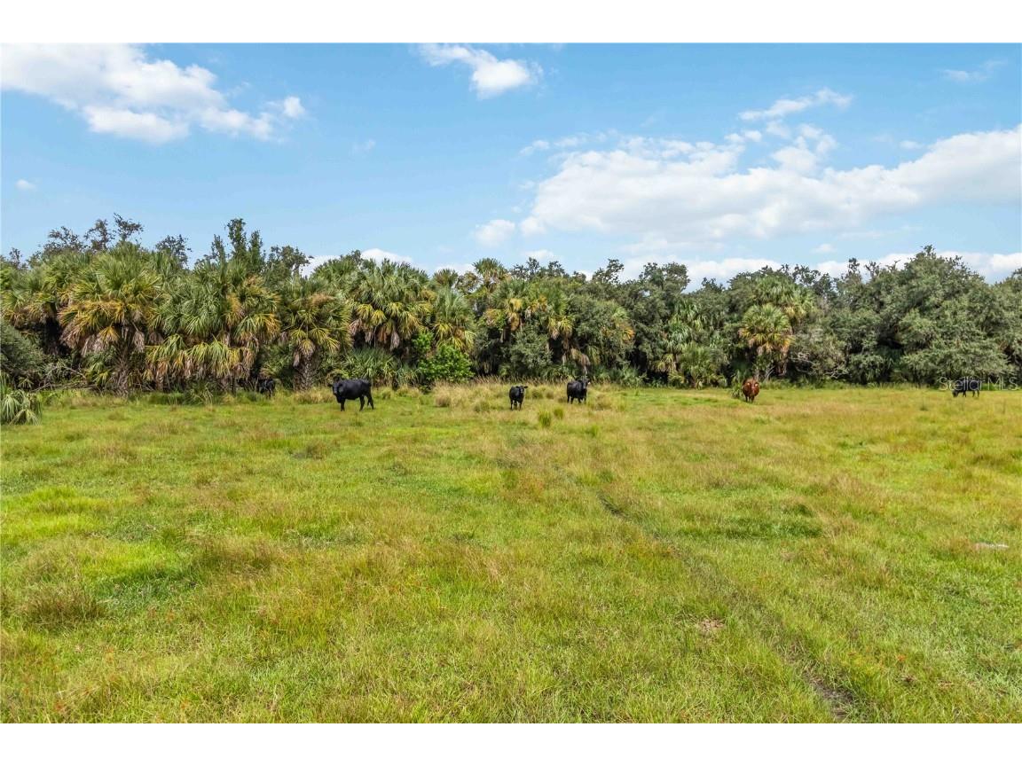 SW Gordon Hay Road Arcadia FL 34269 N6140996 image11