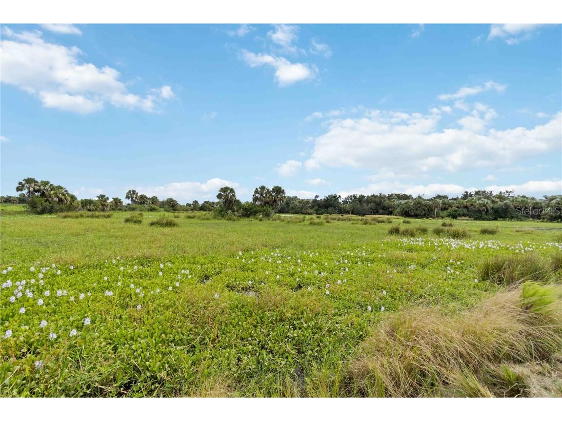 SW Gordon Hay Road Arcadia FL 34269 N6140996 image12