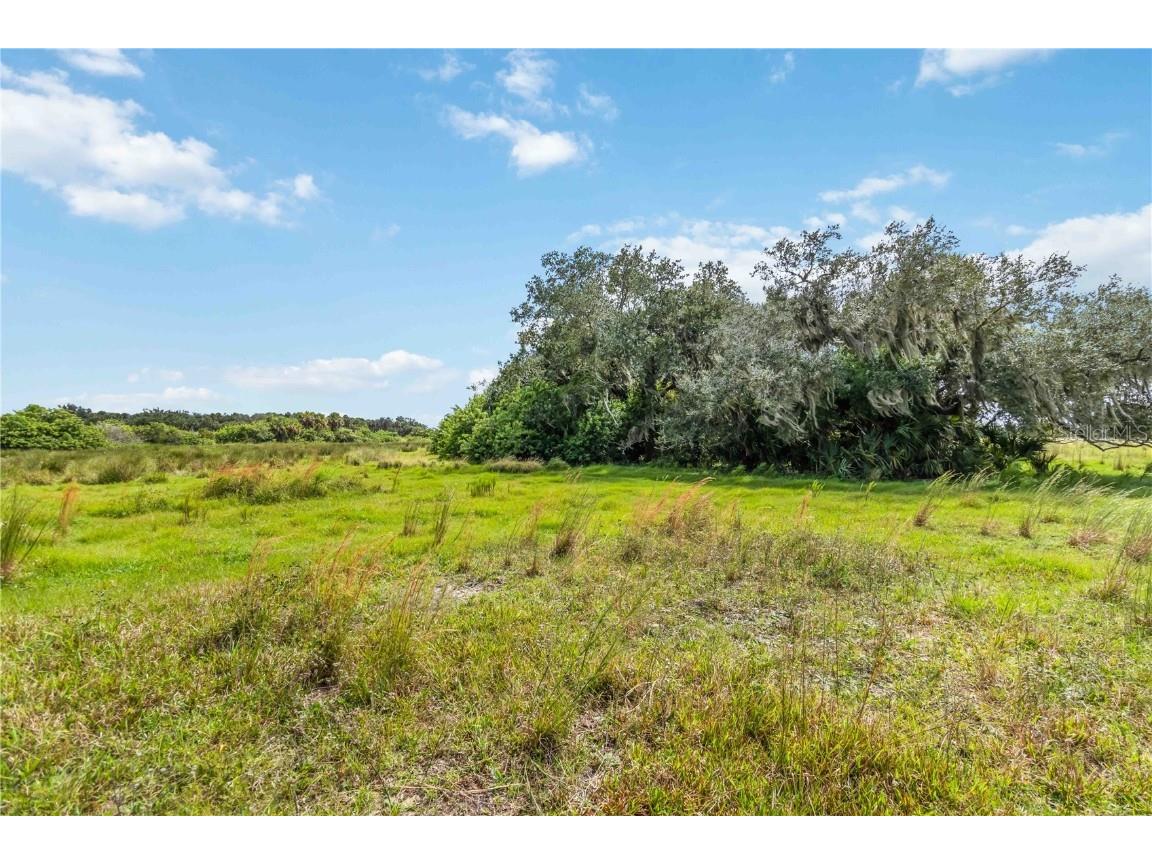 SW Gordon Hay Road Arcadia FL 34269 N6140996 image13