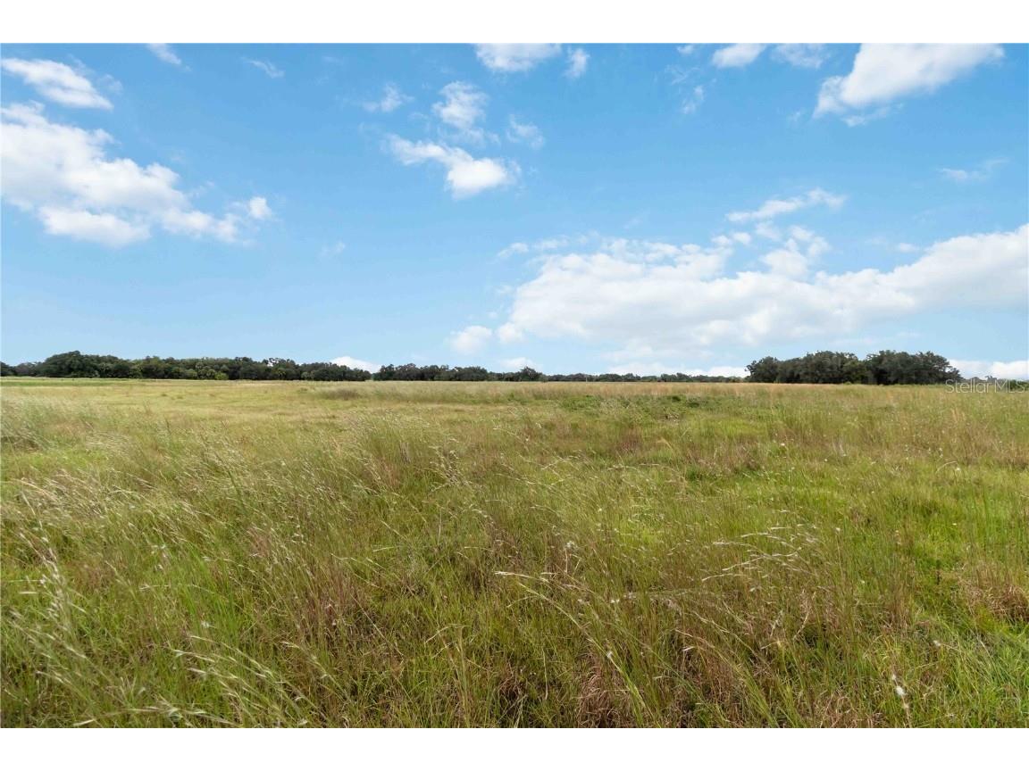 SW Gordon Hay Road Arcadia FL 34269 N6140996 image2