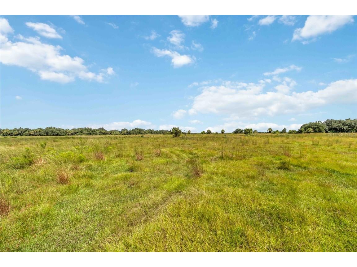 SW Gordon Hay Road Arcadia FL 34269 N6140996 image3