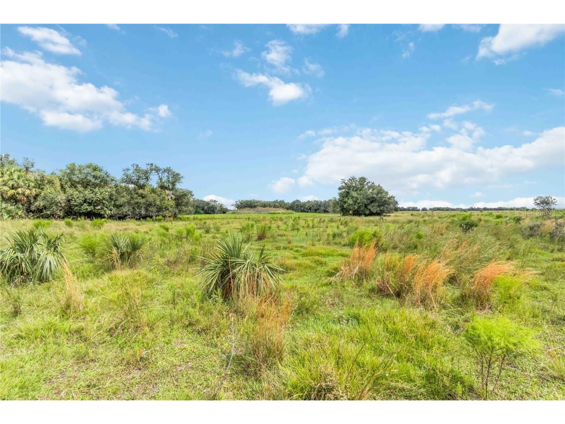 SW Gordon Hay Road Arcadia FL 34269 N6140996 image4