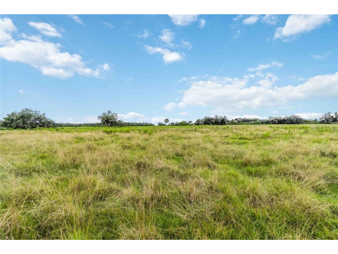 SW Gordon Hay Road Arcadia FL 34269 N6140996 image8