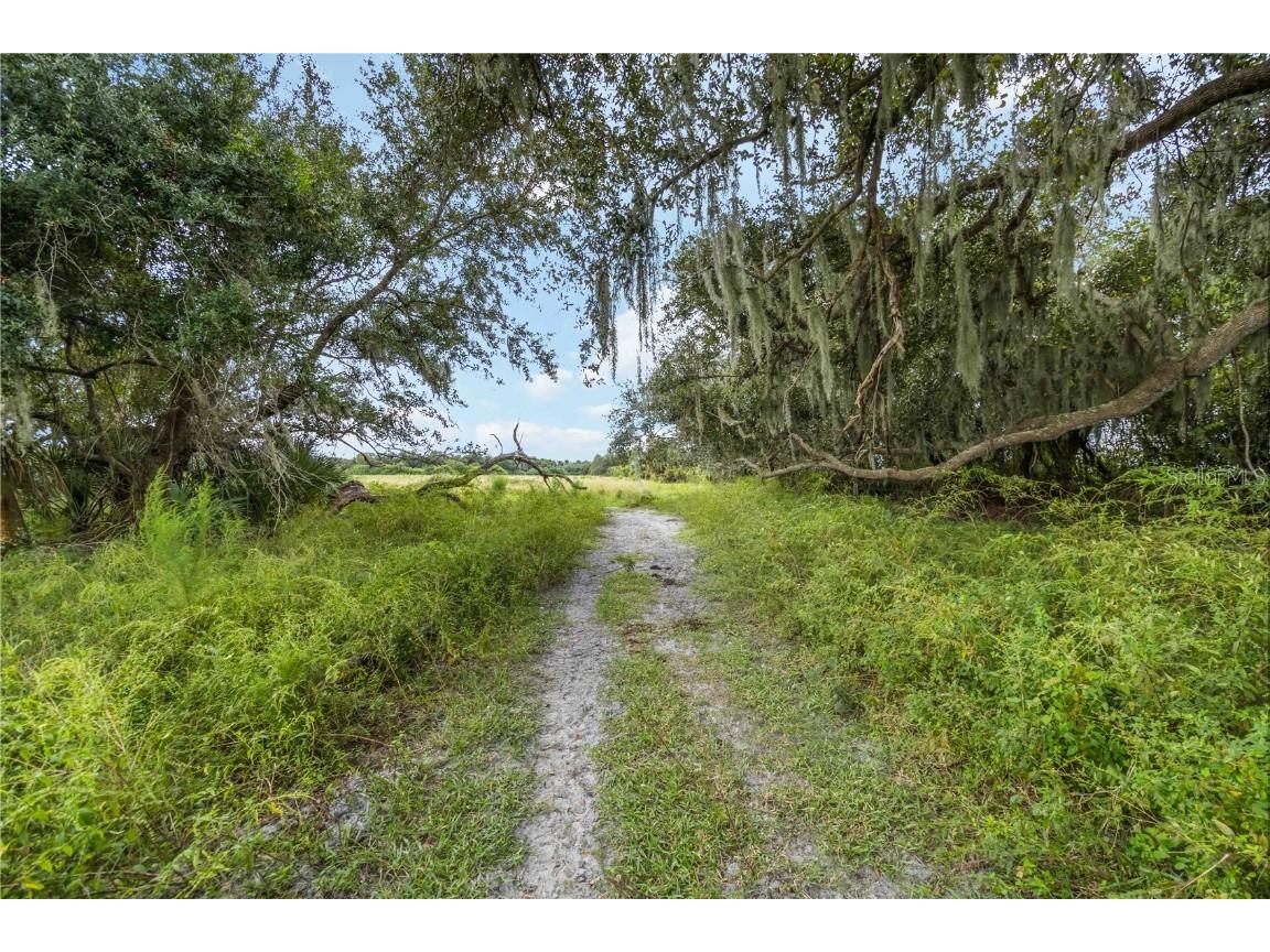 SW Gordon Hay Road Arcadia FL 34269 N6140996 image9