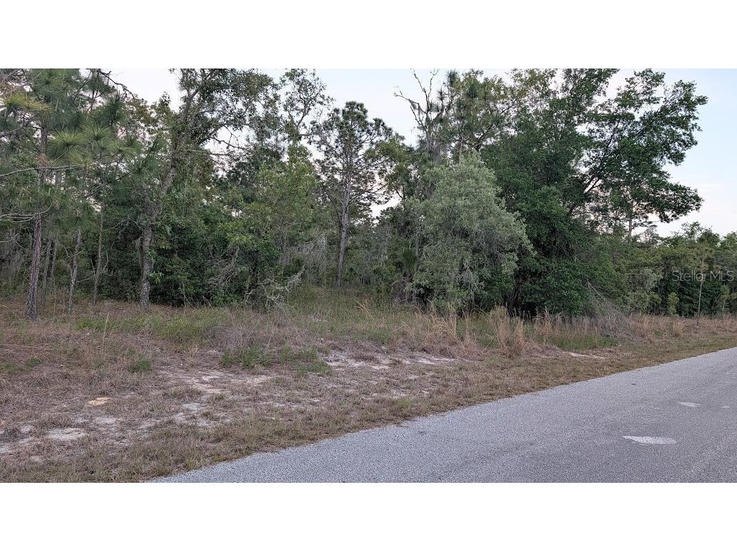 SW Half Moon Drive Dunnellon FL 34431 OM725301 image2