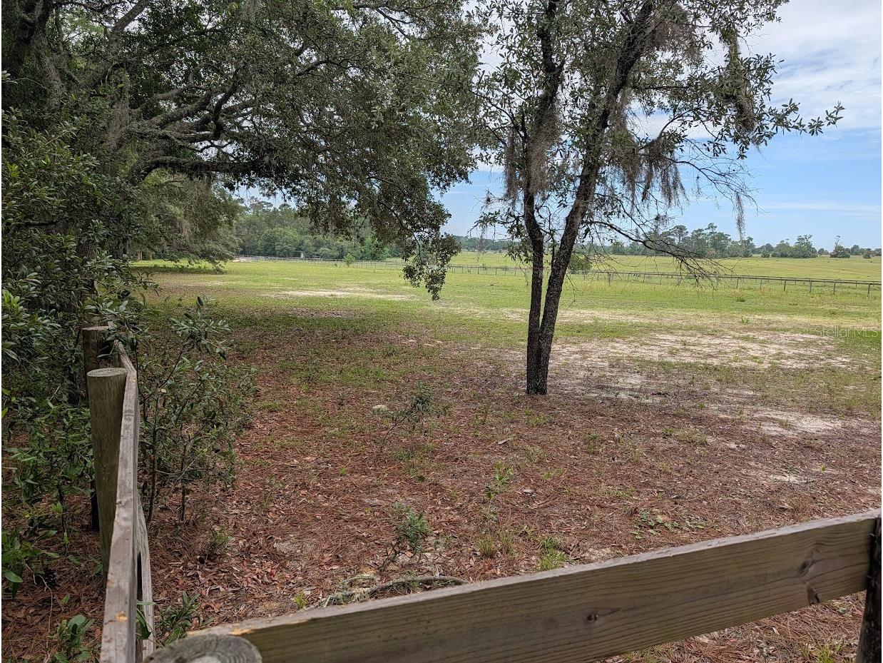 SW Half Moon Drive Dunnellon FL 34431 OM725301 image4