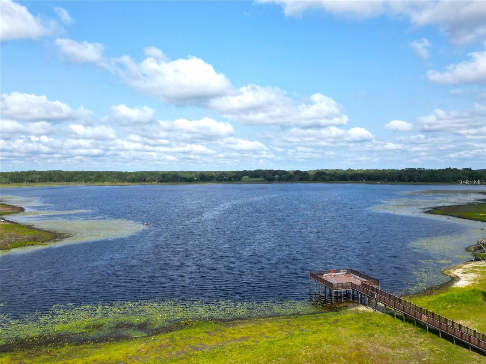 SW Half Moon Drive Dunnellon FL 34431 OM725301 image8