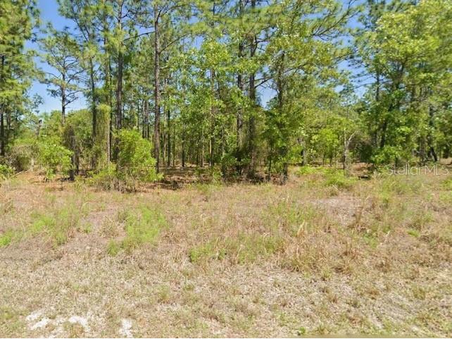 Sw Harbor Hills Rd Dunnellon FL 34431 S5152082 image2