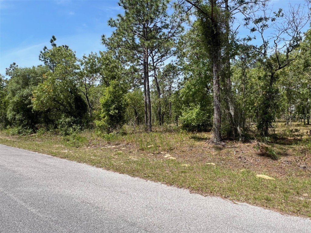 SW Hillard Avenue Dunnellon FL 34431 OM678135 image1