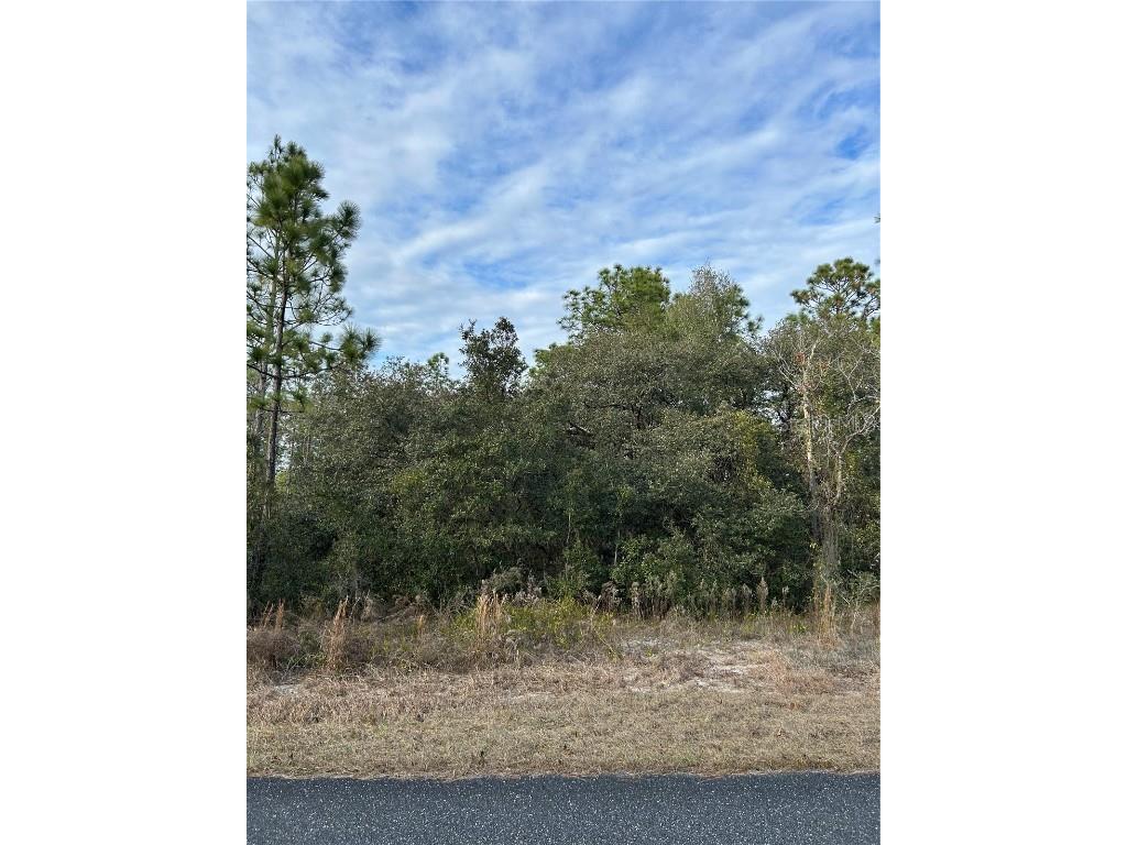Sw Huckleberry Lane Dunnellon FL 34431 OM692655 image1