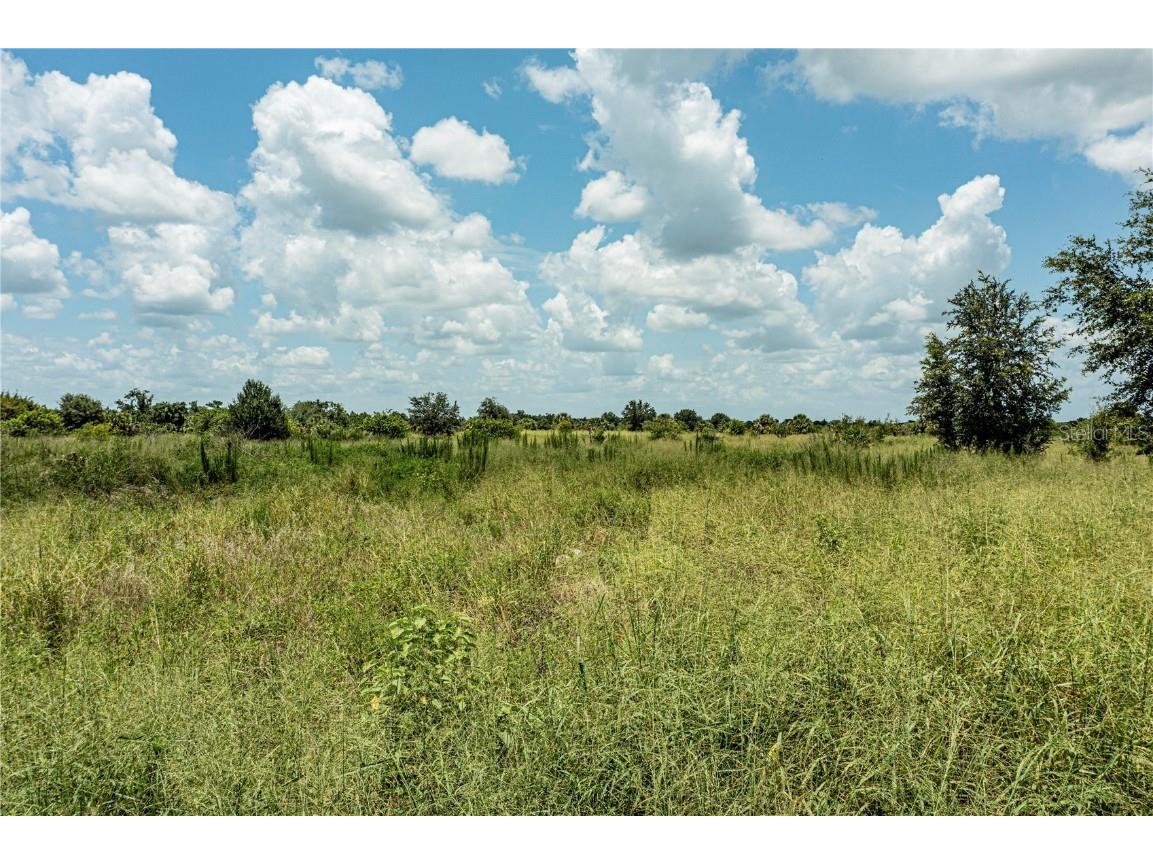 Sw Hull Avenue Arcadia FL 34269 N6141610 image28