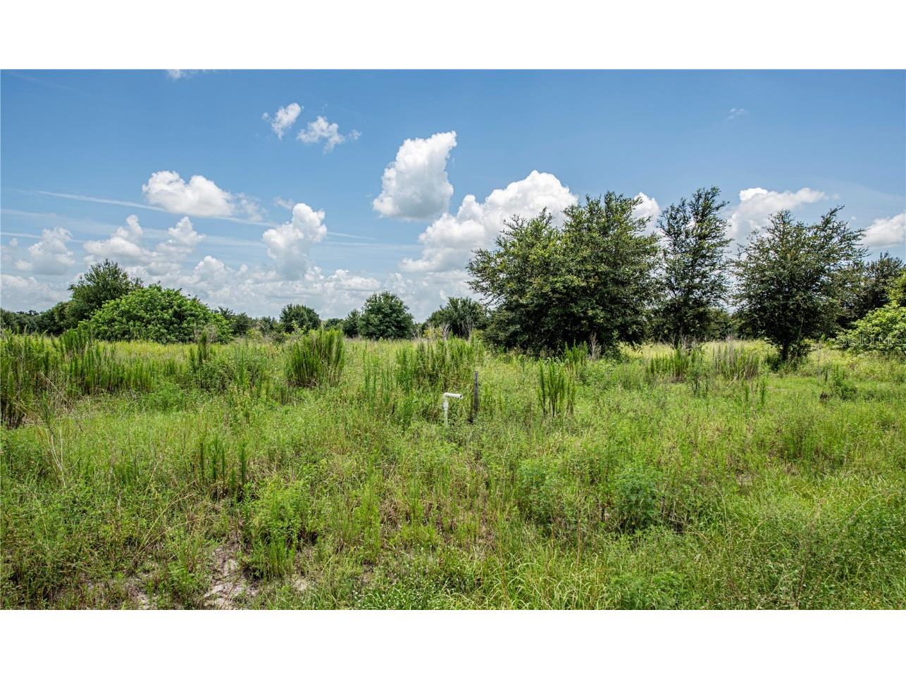 Sw Hull Avenue Arcadia FL 34269 N6141610 image33