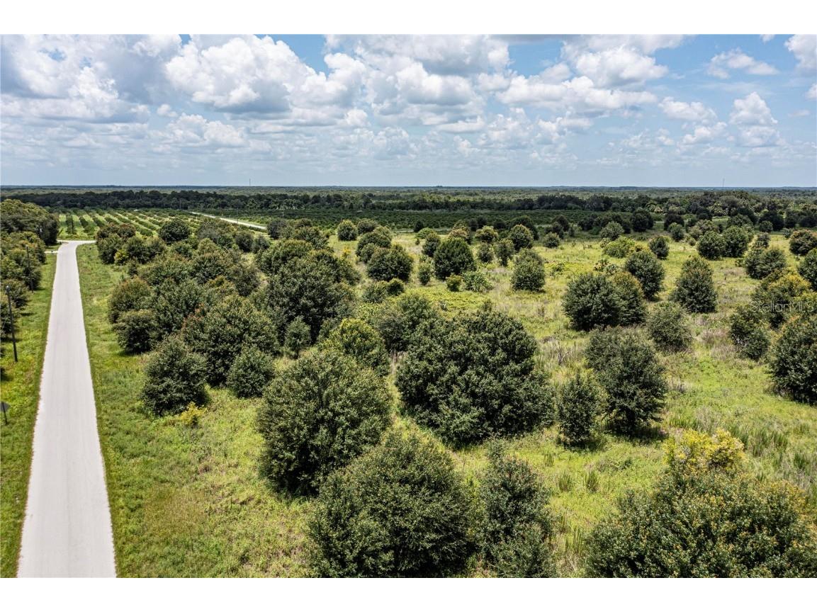 Sw Hull Avenue Arcadia FL 34269 N6141610 image4