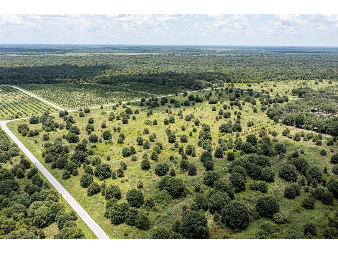 Sw Hull Avenue Arcadia FL 34269 N6141610 image5