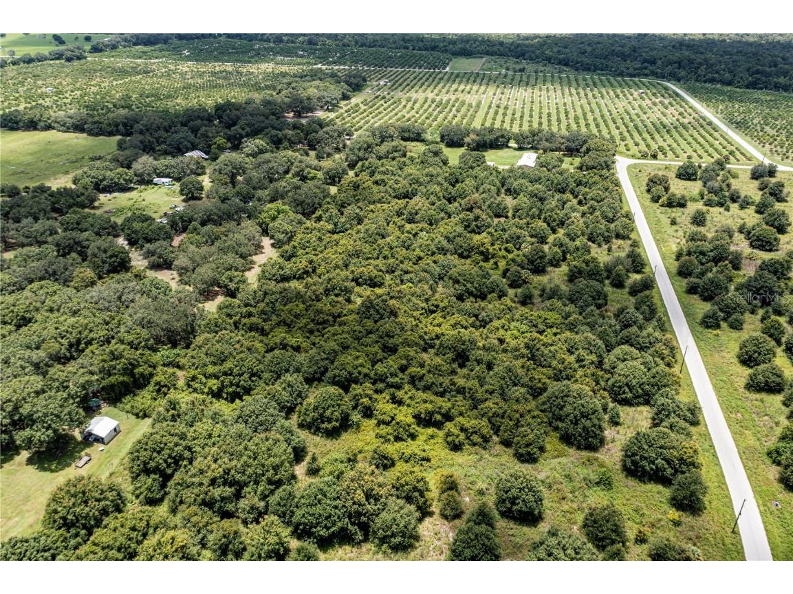 Sw Hull Avenue Arcadia FL 34269 N6141610 image6