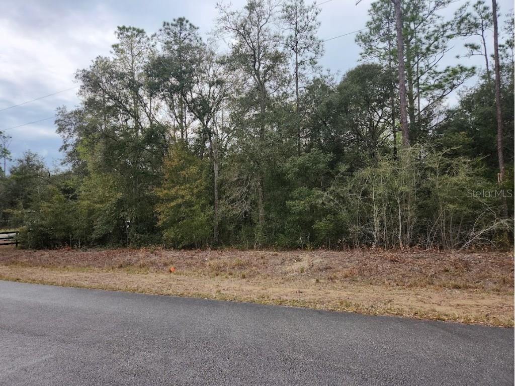 SW Hunter Hill Avenue Dunnellon FL 34431 OM697070 image1