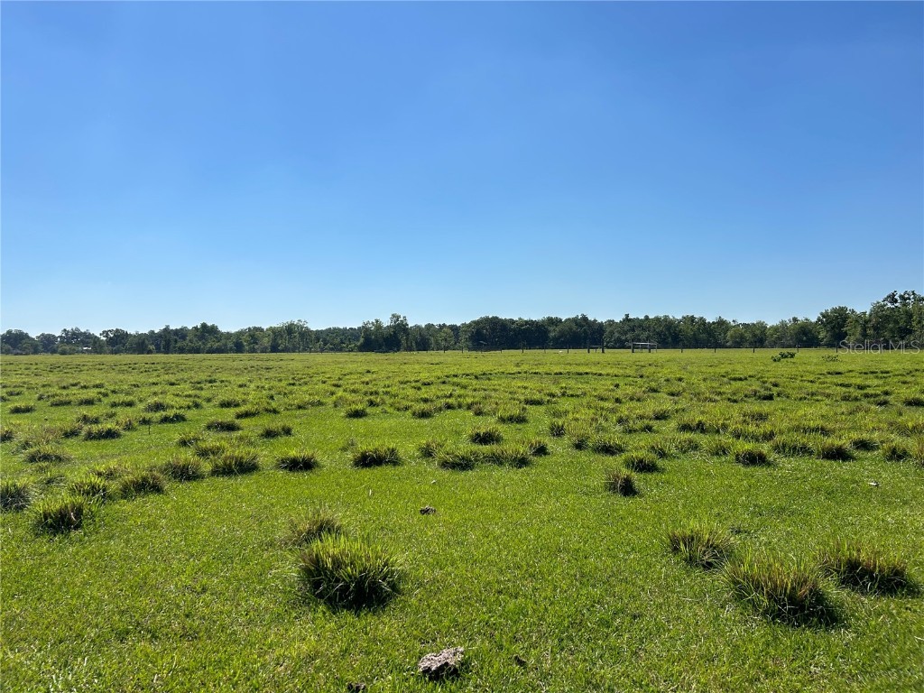 Sw Hwy 17 Arcadia FL 34266 C7491549 image3