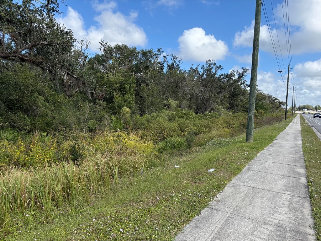 Sw Hwy 17 Arcadia FL 34266 C7516618 image4