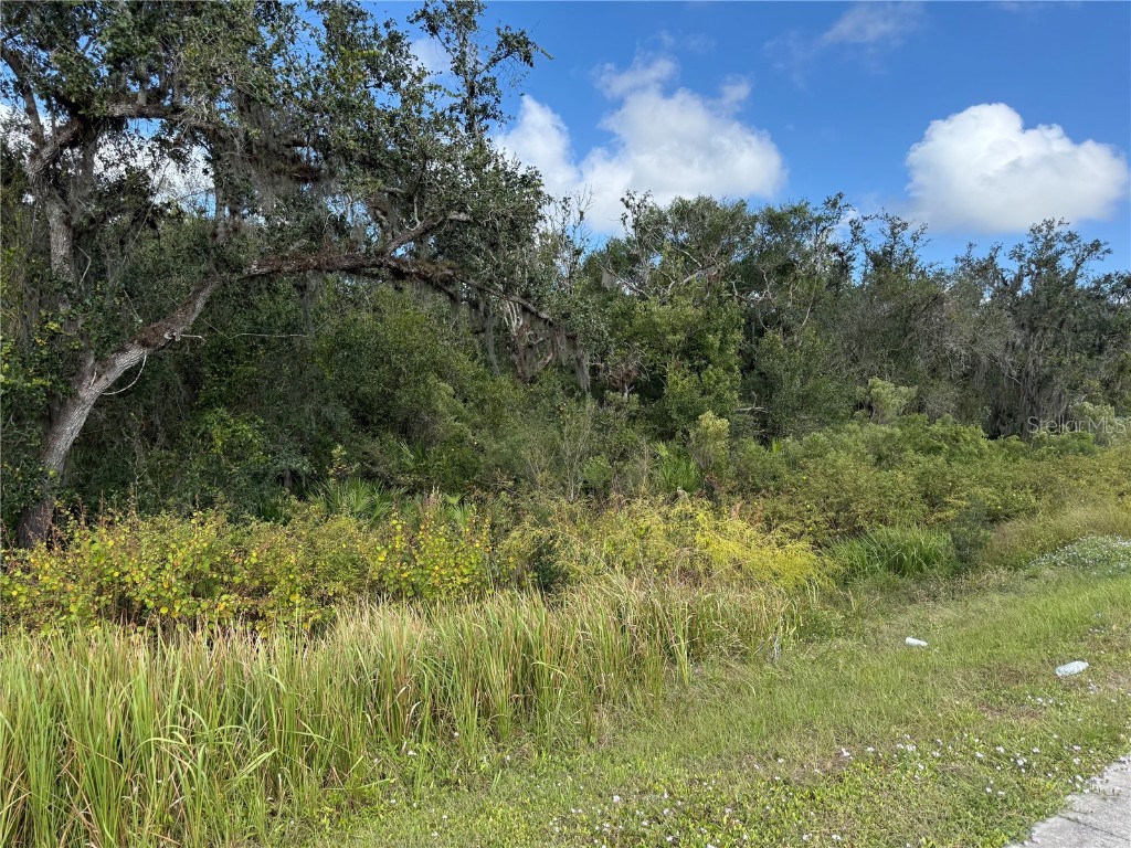 Sw Hwy 17 Arcadia FL 34266 C7516618 image5