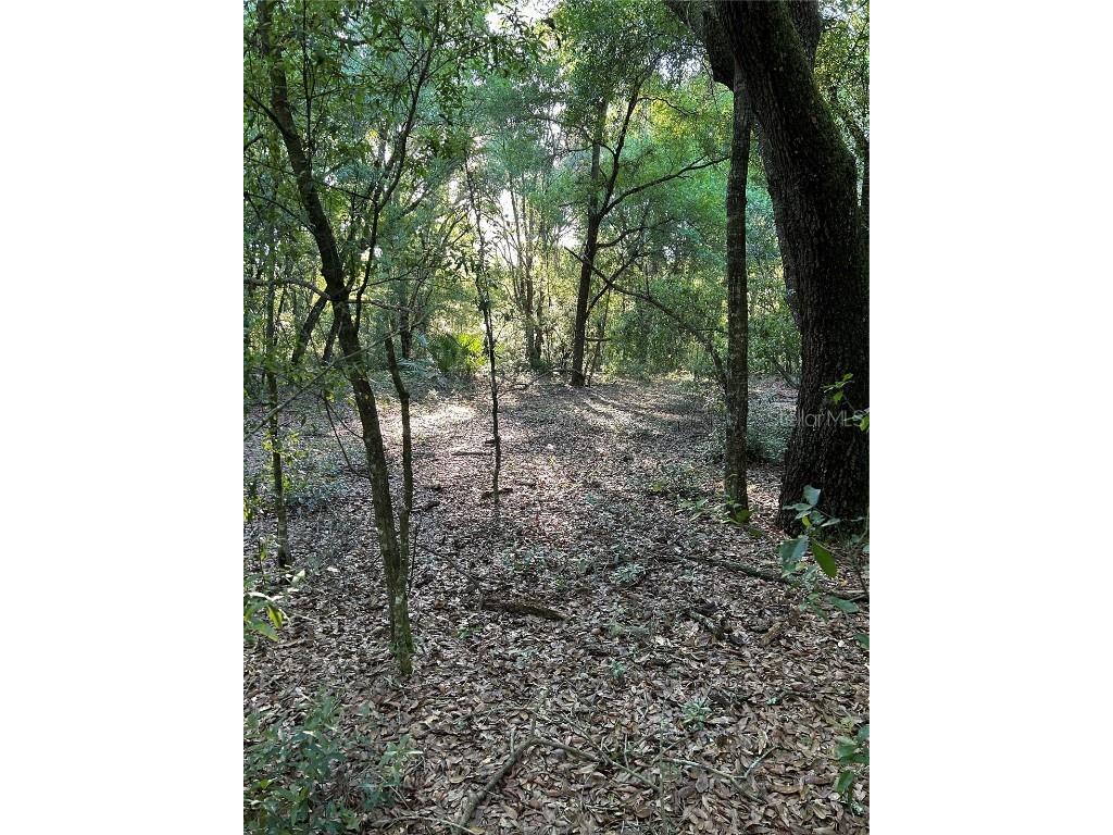 Sw Hwy 484 Dunnellon FL 34432 OM695298 image1